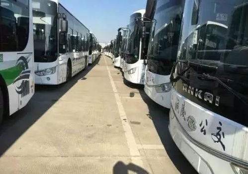 虎门汽车站到横岗多少钱(虎门汽车站到横岗的交通费用详解)