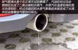 汽车排气管都黑吗多少钱(汽车排气管，颜色、维护与费用探讨)