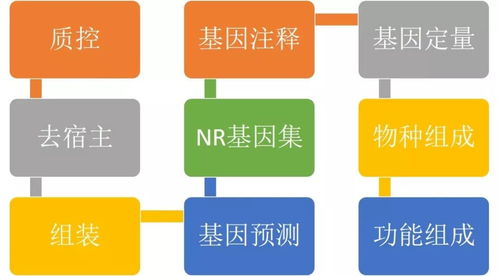 汽车体检一次多少钱费用(汽车体检一次的费用详解)