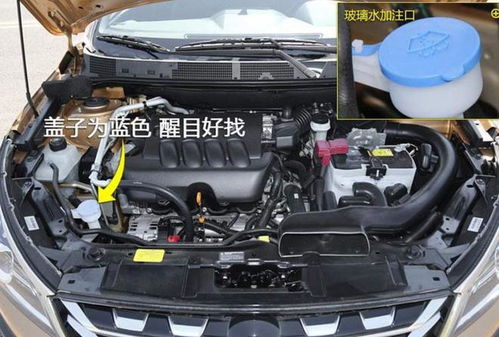 途观汽车玻璃水加多少(途观汽车玻璃水的加注量与操作指南)