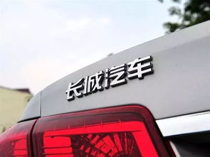 长城汽车技术部工资多少(揭秘长城汽车技术部工资水平，深入了解与探讨)