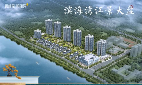 东莞塘厦有多少个汽车站(塘厦汽车站的数量与布局解析)