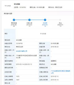 华为电脑充电参数怎么看(华为电脑充电参数详解，如何查看与理解)