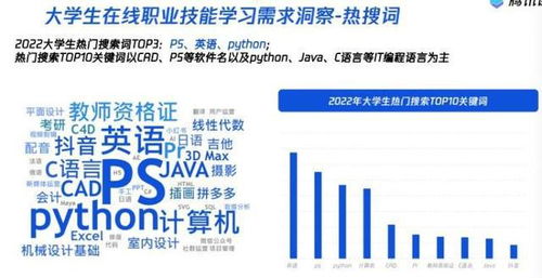 汽车编程工资多少一个月(汽车编程工程师的月薪究竟有多少？