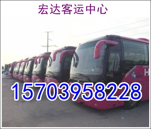 漯河到权寨汽车票多少钱(漯河到权寨汽车票价详解，价格、路线与出行建议)