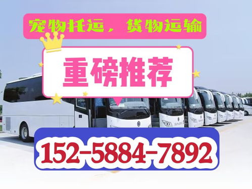 普城汽车客运站电话多少(普城汽车客运站的联系方式及服务质量解析)