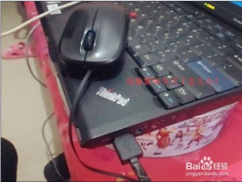 华为电脑鼠标怎么拆下来(华为电脑鼠标拆卸指南)