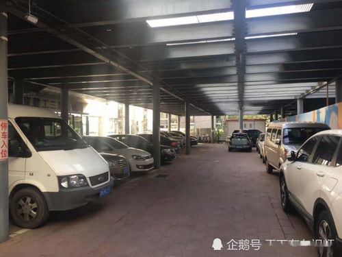 汽车一般停多少天最好看(汽车停放天数与最佳观赏期探讨) 汽车一般停多少天最好看(汽车停放天数与最佳观赏期探讨)