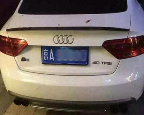 补办小汽车车牌要多少钱(补办小汽车车牌的费用详解)