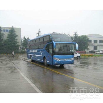 淄博到苍南汽车票多少钱(淄博到苍南汽车票价详解，费用、路线与旅行建议)