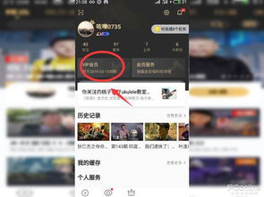 华为优酷会员怎么在电脑(华为优酷会员在电脑上如何畅享视听盛宴)