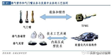 十五年汽车保险能报多少(十五年汽车保险能报多少，深度解析汽车保险理赔与收益)