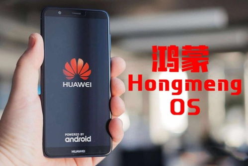 华为7热点怎么连接电脑(华为7热点连接电脑，详细步骤与操作指南)