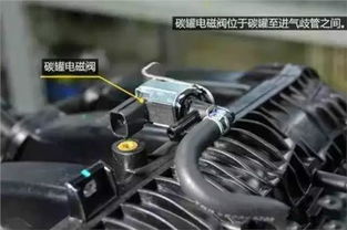 小汽车能装多少升的油啊(小汽车油箱容量与燃油装载量探究) 小汽车能装多少升的油啊(小汽车油箱容量与燃油装载量探究)