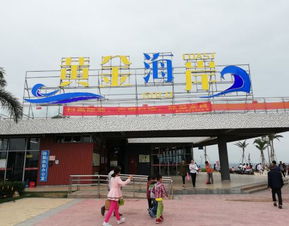 江门至惠州汽车站多少钱(江门至惠州汽车站票价详解，多少钱？