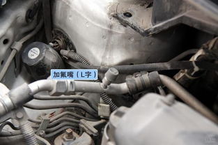 汽车空调震动加氟多少钱(汽车空调震动加氟费用解析)
