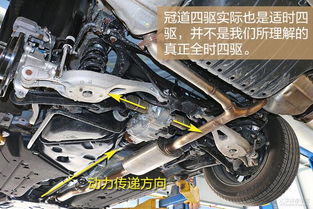 海口汽车底盘调整多少钱(海口汽车底盘调整费用详解)