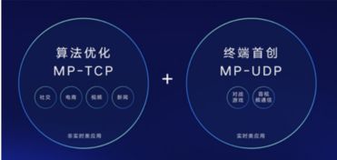 怎么传华为大视频到电脑(如何将华为大视频高效传输到电脑，详细步骤与技巧)
