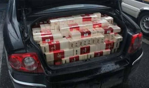 汽车后备箱板金多少钱(汽车后备箱板金价格解析)