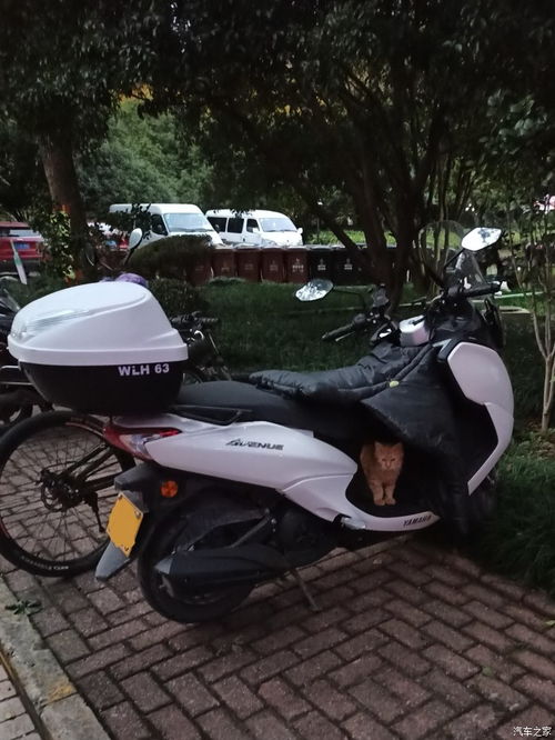 装一个汽车踏板多少钱(汽车踏板安装费用详解，多少钱才能装一个高品质的汽车踏板？
