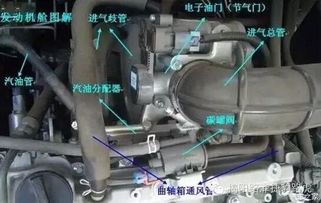 汽车加气怎么看加多少(汽车加气，如何判断加气量)