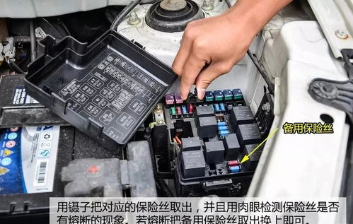 汽车喇叭的保险丝多少钱(汽车喇叭保险丝的价格及其相关知识解读)