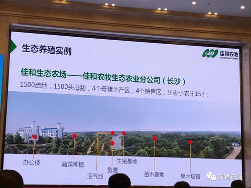 电脑怎么装华为生态桌面(华为生态桌面安装指南,从零开始,轻松上手电脑桌面新体验) 电脑怎么装华为生态桌面(华为生态桌面安装指南,从零开始,轻松上手电脑桌面新体验)