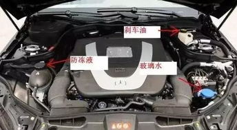 塞拉图汽车防冻液多少升(塞拉图汽车防冻液容量解析，需要多少升？