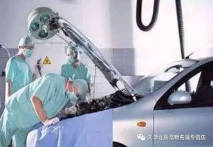小汽车多少时间保养一下(小汽车保养周期的重要性及其建议)