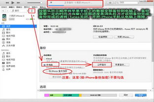 华为电脑备份文件怎么找(华为电脑备份文件的寻找与恢复指南)
