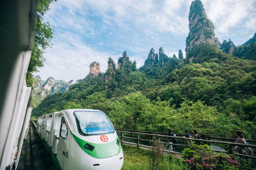 邻水到张家界多少钱汽车(邻水到张家界,汽车票价及旅行攻略) 邻水到张家界多少钱汽车(邻水到张家界,汽车票价及旅行攻略)