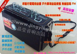 汽车电瓶音响多少钱一个(汽车电瓶音响价格解析，多少钱一个？