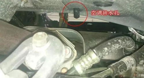 汽车排水要打开吗多少钱(汽车排水系统的重要性及疏通费用解析)