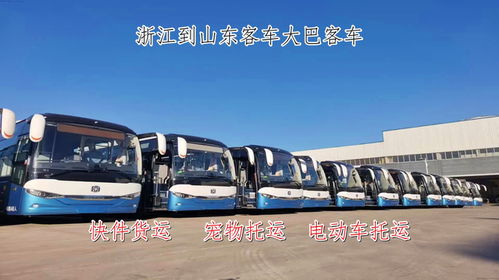 泸州长途汽车电话多少(泸州长途汽车电话查询与出行指南)