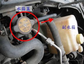 汽车水箱排气管多少钱(汽车水箱排气管价格解析，多少钱？