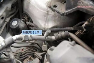 冬天汽车加氟用多少度(冬天汽车加氟适宜温度解析)