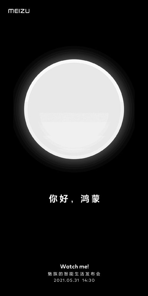 怎么用电脑访问华为鸿蒙(如何用电脑访问华为鸿蒙系统，探索与体验)