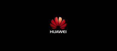 笔刷怎么买华为电脑(如何购买适合华为电脑的笔刷)