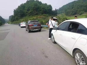 平台回应游客冰岛租车遭天价索赔(平台回应游客冰岛租车遭遇天价索赔事件)