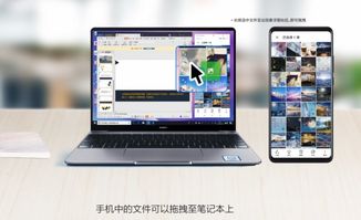华为pc与电脑怎么共享(华为PC与电脑共享，实现高效协同工作的关键步骤)