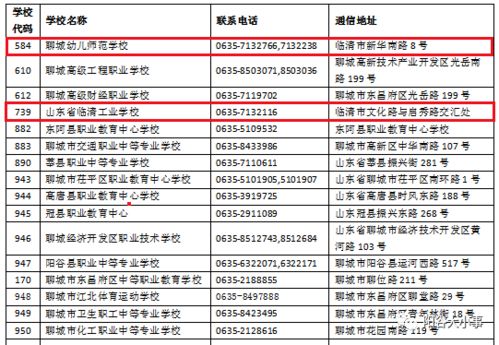 华为电脑怎么局部录视频(华为电脑局部录视频的方法与技巧)