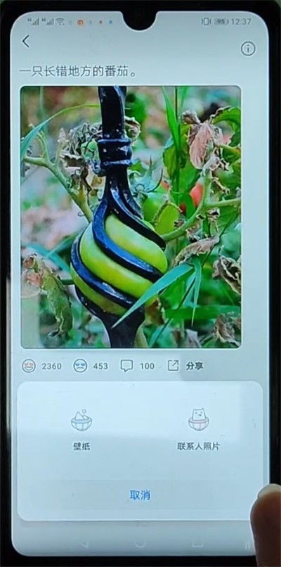 华为电脑怎么设动态屏保(华为电脑如何设置动态屏保)