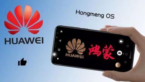 华为电脑如何怎么内存(华为电脑内存管理与优化指南)