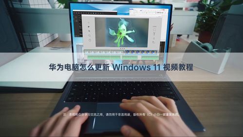 怎么用华为电脑画画(华为电脑画画，入门指南与技巧分享)