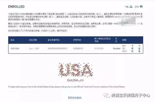 华为电脑怎么进网址(华为电脑如何访问网址，详细步骤与常见问题解析)