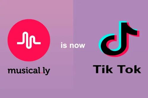 华为电脑怎么下载tiktok(华为电脑下载TikTok的详细步骤指南)