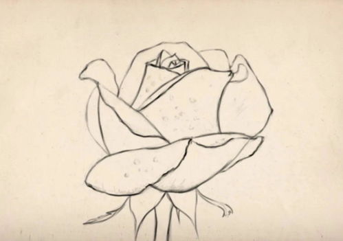 华为电脑绘画怎么画(华为电脑绘画入门指南，轻松掌握绘画技巧)