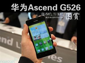 华为手机怎么不能LTE