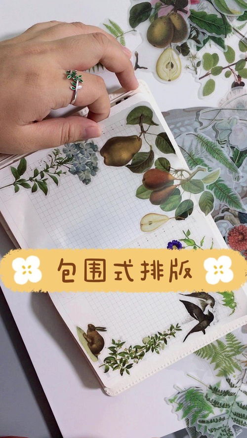 怎么排版华为手机桌面