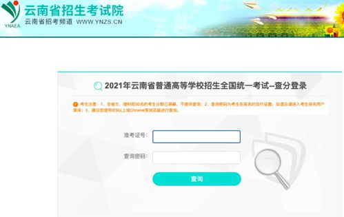 高考查分